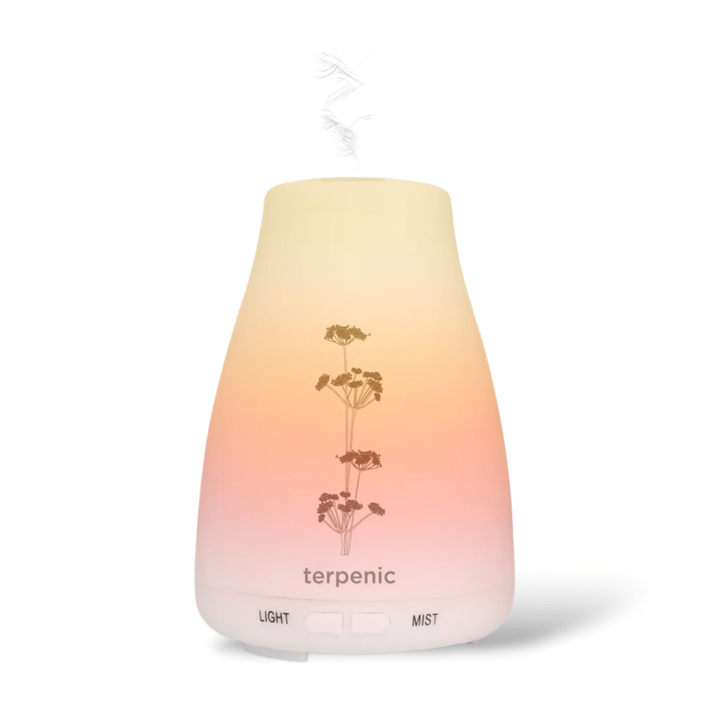 Difusor Bruma - A tua História