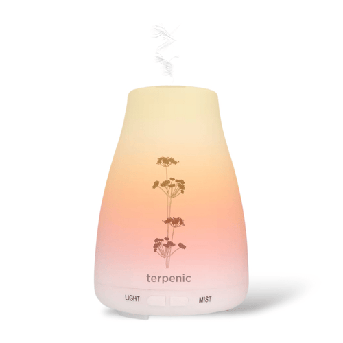 Difusor Bruma - A tua História